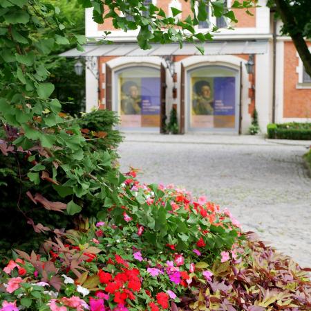 Zbliżenie na kwiaty