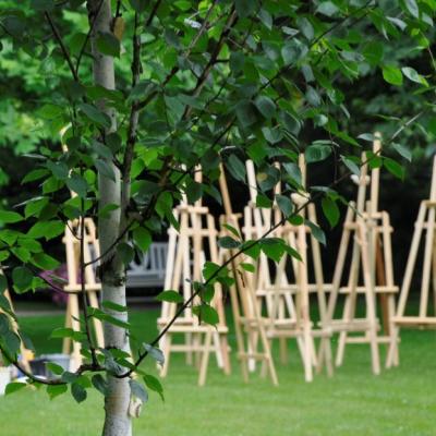 wiele sztalug ustawionych pośród ogrodu