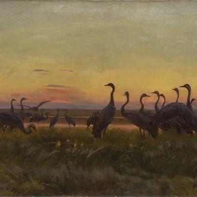 Józef Chełmoński, Żurawie, 1910 r., zbiory Muzeum Pałac Herbsta, oddziału Muzeum Sztuki w Łodzi