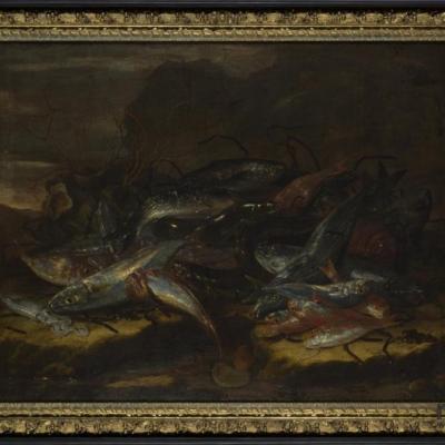 Giuseppe Recco, Ryby, zbiory Muzeum Sztuki w Łodzi